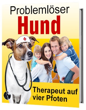 Problemlöser Hund - Trainingsgerät zur Verhaltenskorrektur für Hunde