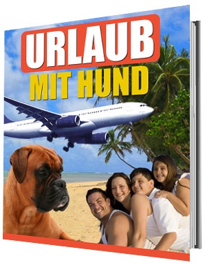 Urlaub mit Hund - Hundefreundliche Unterkünfte und Reiseziele