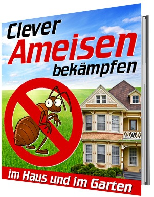 Clever Ameisen bekämpfen - Effektive und umweltfreundliche Lösung